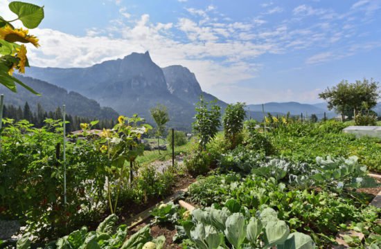 agriturismi-alto-adige-dolomiti-04