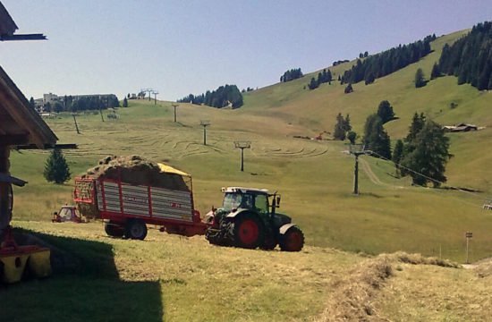 children-farm-south-tyrol-01