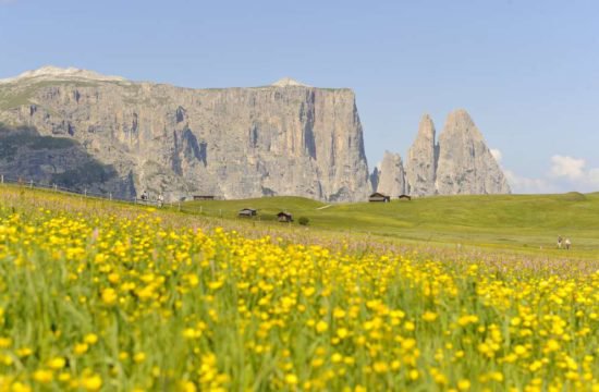 summer-holidays-alpe-di-siusi-01