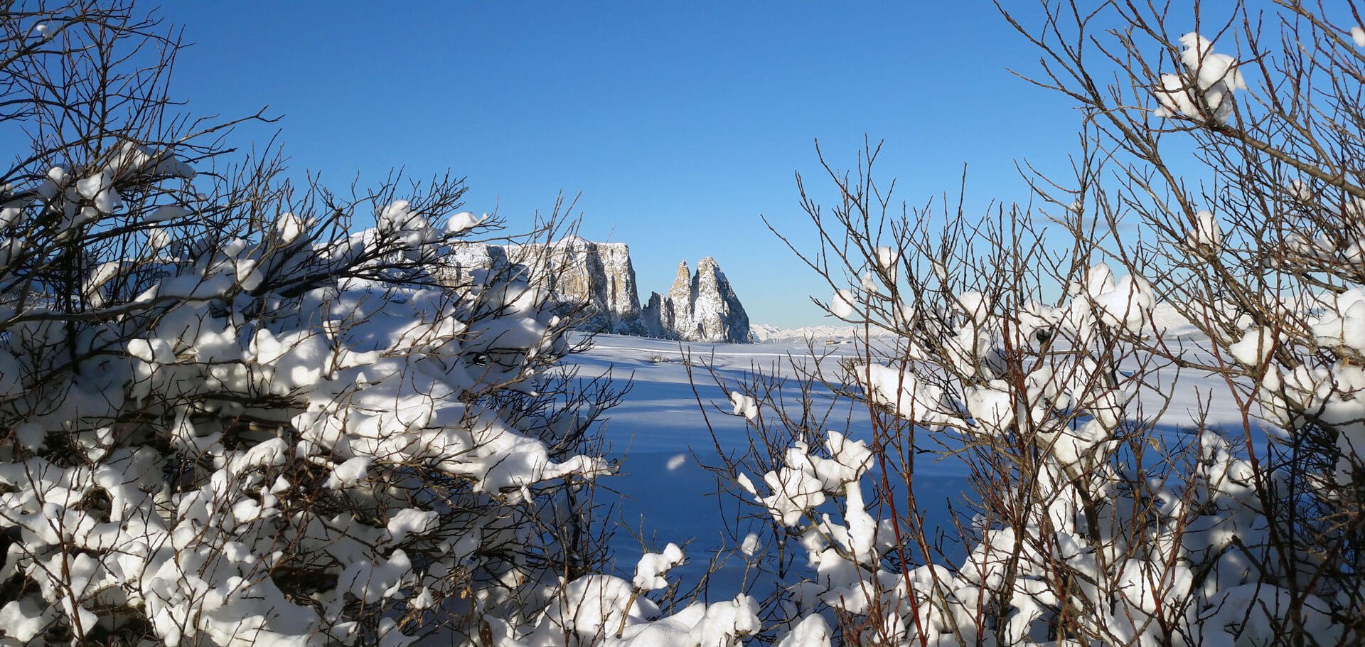 winterurlaub-seiser-alm